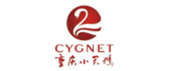 小天鹅